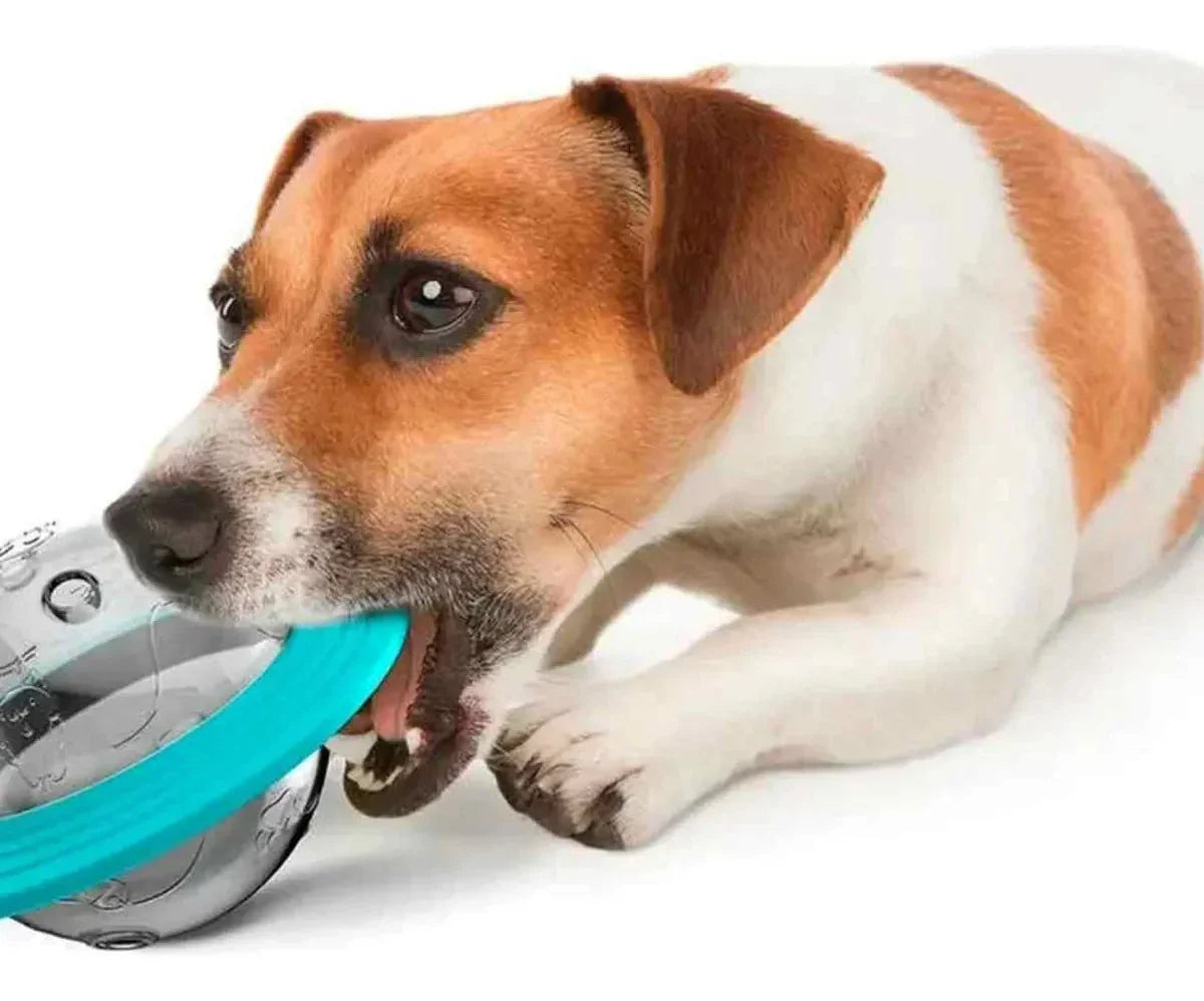 Brinquedo Para Pet Alimentação Comedouro Interativo Disco Voador