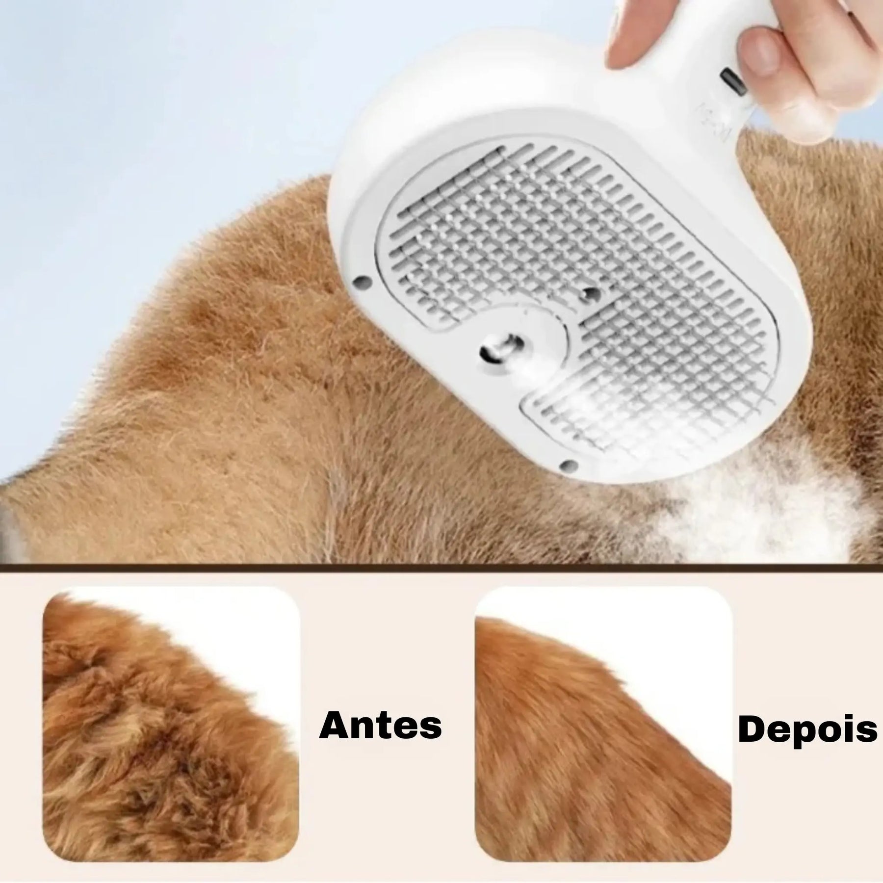 Escova Pet Royal