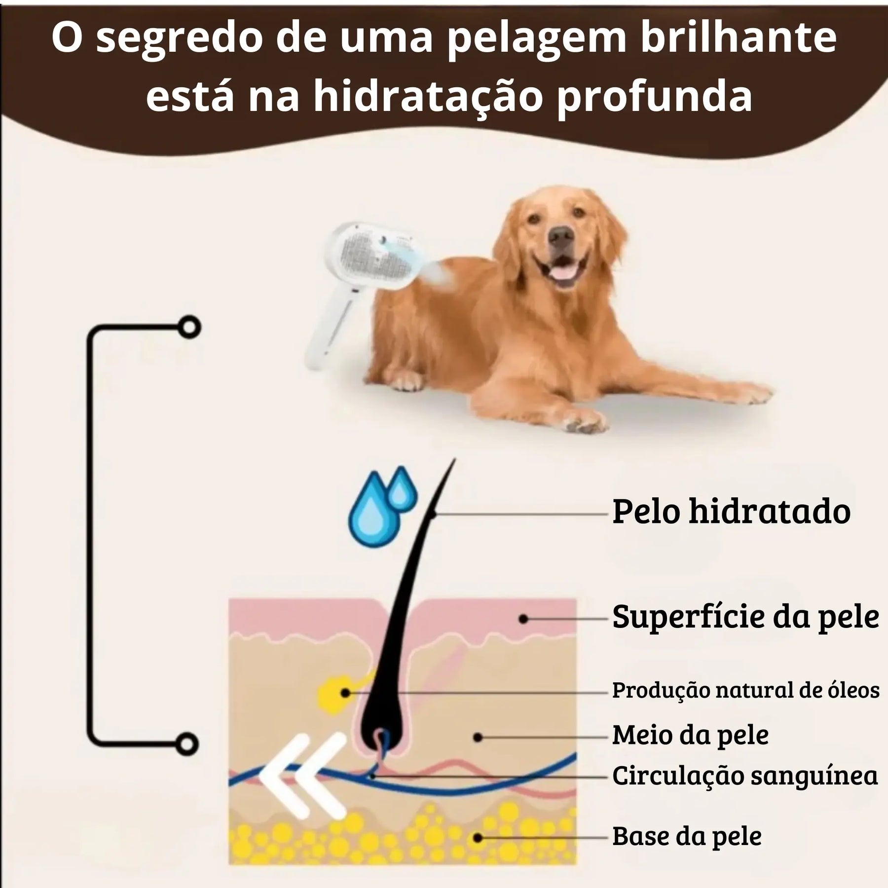 Escova Pet Royal