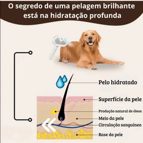 Escova Pet Royal