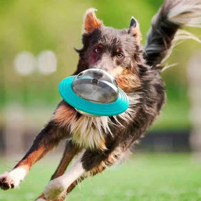 Brinquedo Para Pet Alimentação Comedouro Interativo Disco Voador