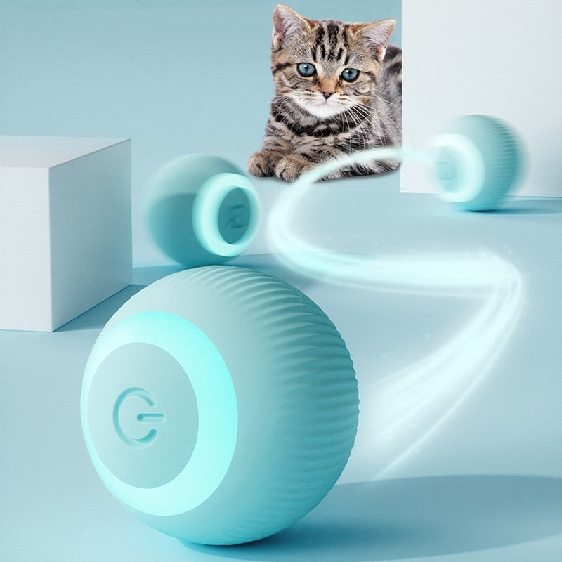 Bola Inteligente para Pet